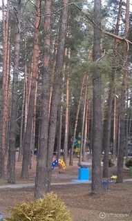 Калуга бор отзывы