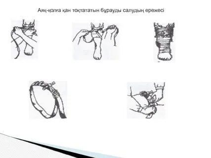 Анальды секс энциклопедиясы