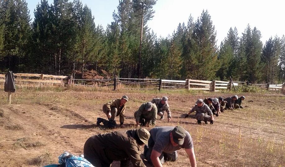 Хандагатайский лесхоз Бурятия. Хандагатайский лесхоз Бурятия Заиграевский район. Лесник Заиграевского района. Лесхоз в Улан-Удэ.