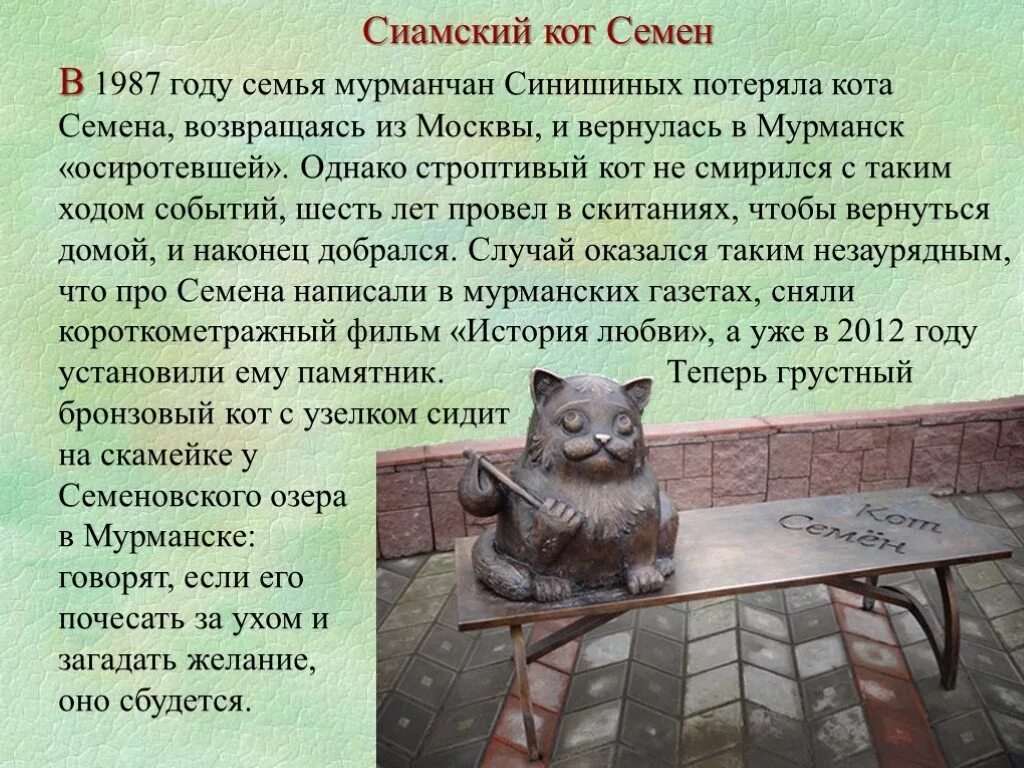 Кот из мурманска история. Памятник коту семёну в мурманске. кот семён мурманск рассказ. памятник коту семену.