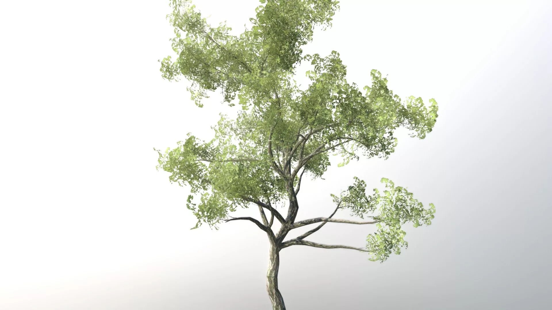 Tree jumping