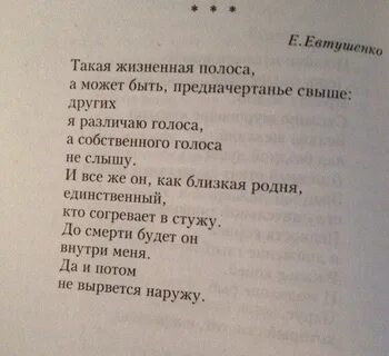 Евтушенко стихи про любовь