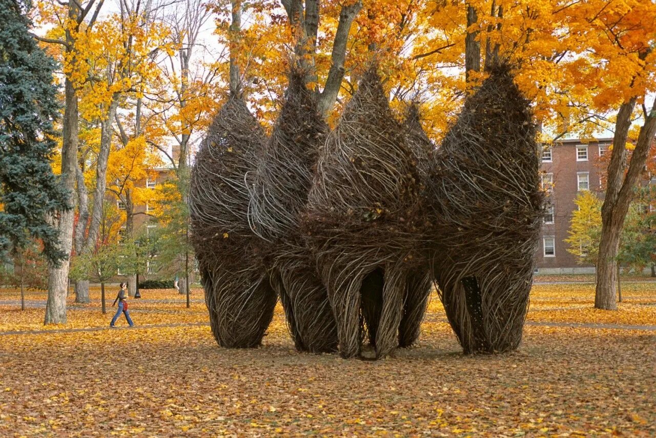 Парк скульптур из деревьев. Скульптуры patrick dougherty. лэнд-арт скульптура. дерево патрик догерти.
