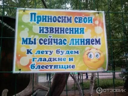 Зоопарк березовая роща новосибирск