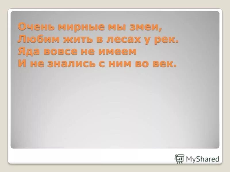 Змея под дудку. Смешные фразы про змею. Настоящая любовь. Афоризмы про змей. Шутки про змею.
