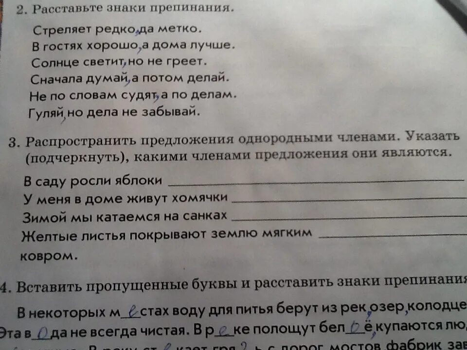 Распространить предложения однородными членами в саду росли яблоки. Допиши однородные предложения в саду росли. Предложение с членом предложения думаю