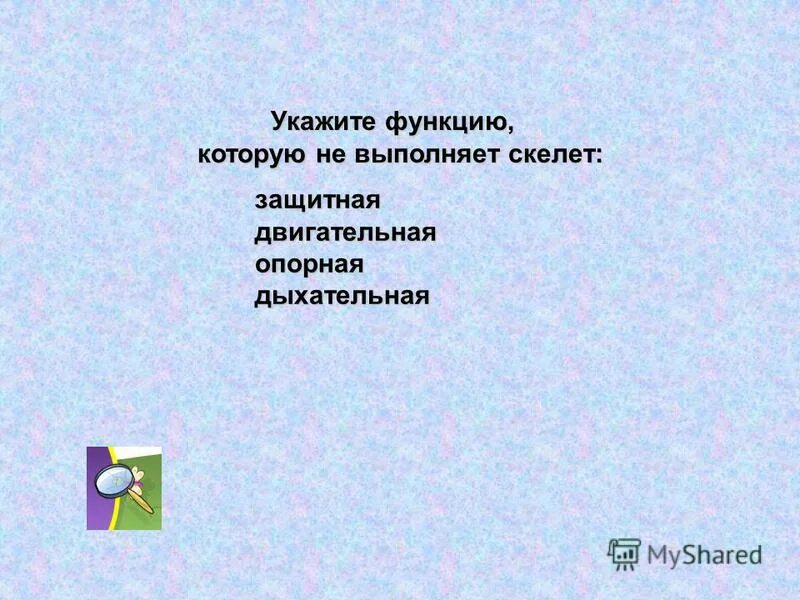Скелет выполняет функции опоры защиты соединения. Скелет выполняет функции опоры защиты соединения