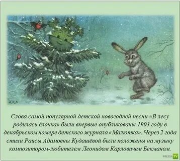 Интересные факты о зиме