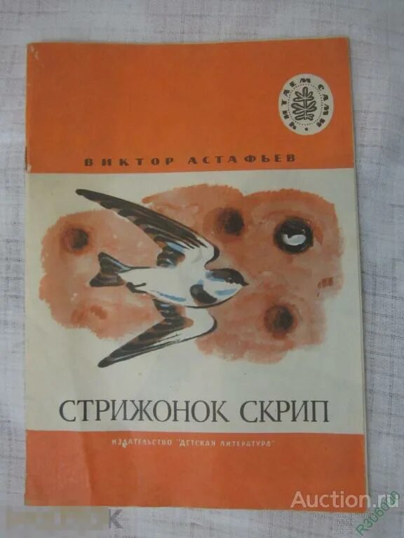 Описание стрижонка скрипа из рассказа стрижонок скрип. Стрижонок скрип Астафьев иллюстрации. Астафьев в. "Стрижонок скрип". Иллюстрация к рассказу Стрижонок скрип.