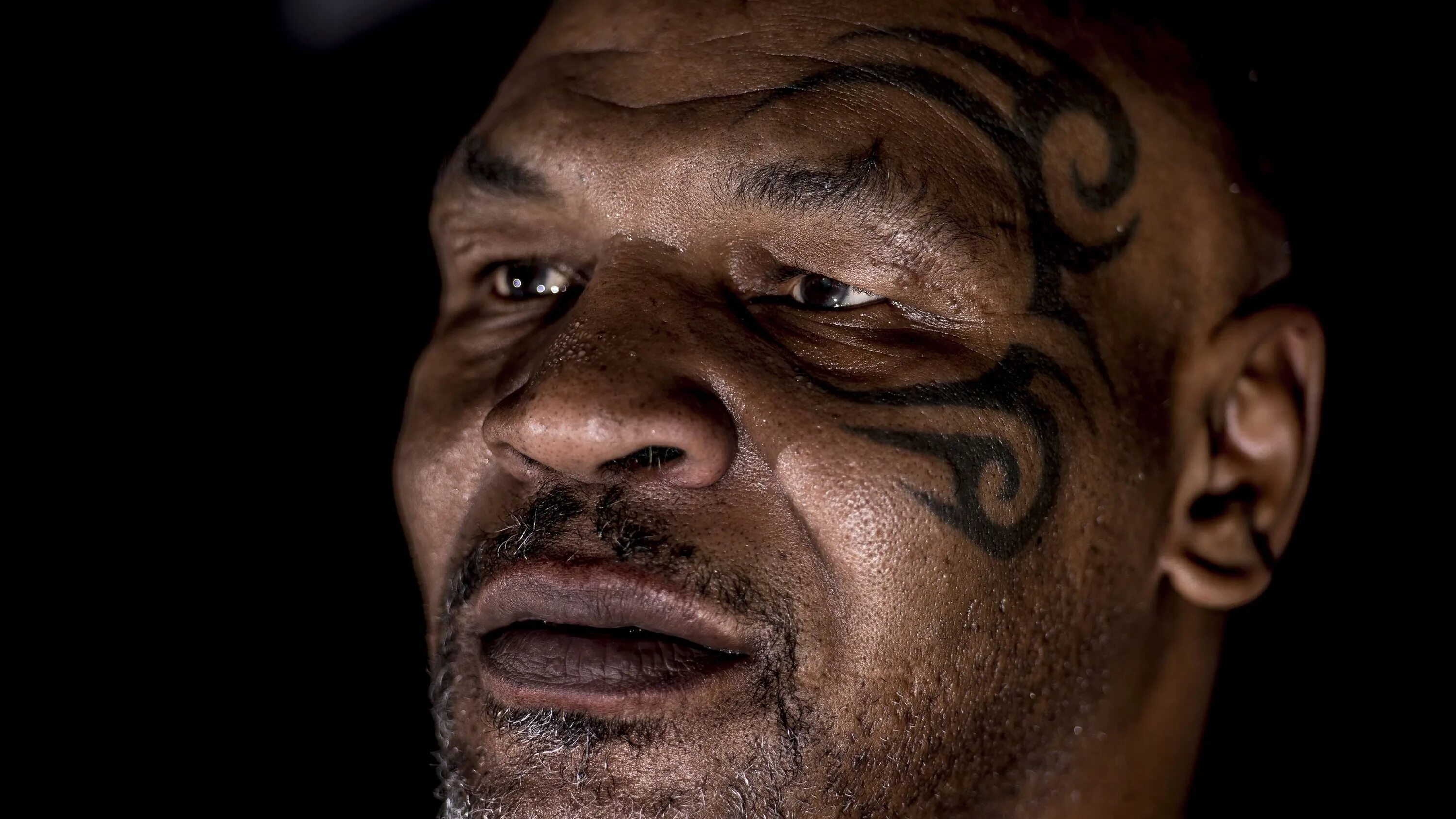 майк тайсон пол. бой, фото робинсон.