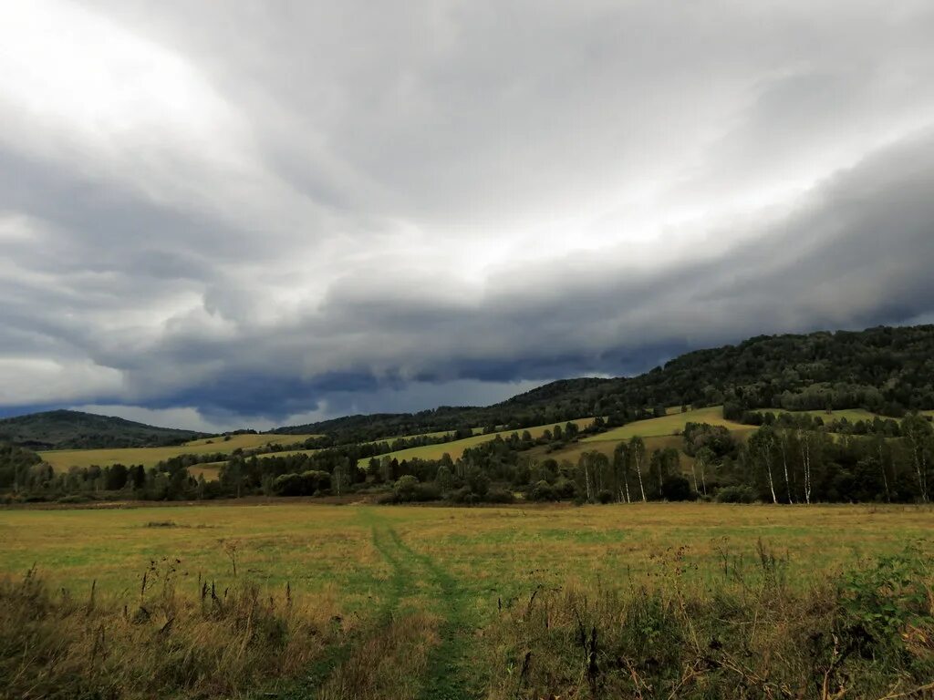 Бирюля республика алтай. Село Бирюля Республика Алтай. Куташ Майминский район. Куташ Республика Алтай. Карасук Республика Алтай.