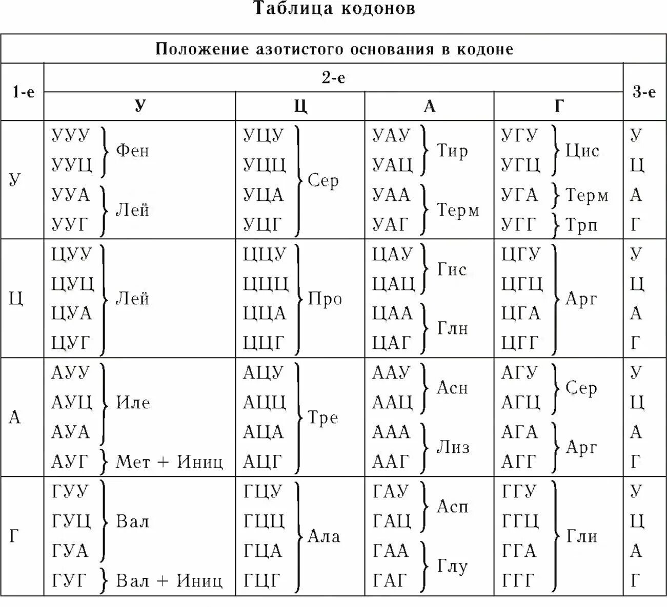 Таблица кодонов аминокислот. Таблица кодонов аминокислот РНК. Таблица кодонов ДНК. Кодоны информационной РНК таблица.