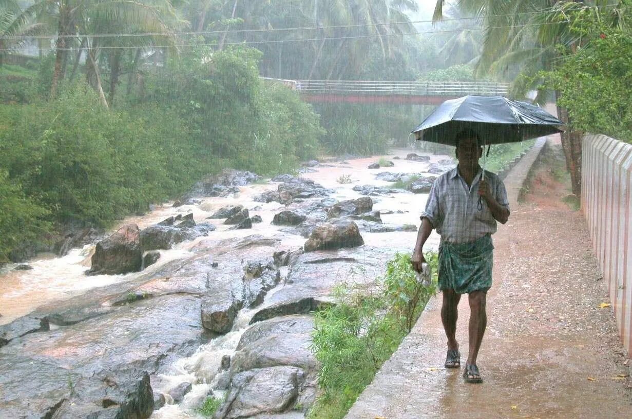 Какие климатические условия в индии. Тропический Муссон в Индии. Муссонные дожди в Индии. Шри Ланка Муссоны.