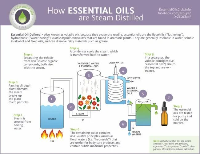 Essential Oil distillation. Steam distillation of Essential Oils. Types of Essential Oil distillation. Сепаратор эфирного масла и воды. Volatile перевод