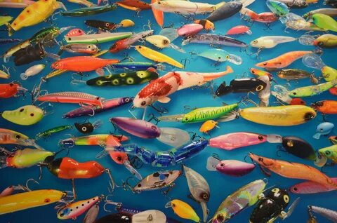 Colorful fish