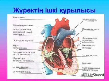 Смотреть үштік секс видео онлайн
