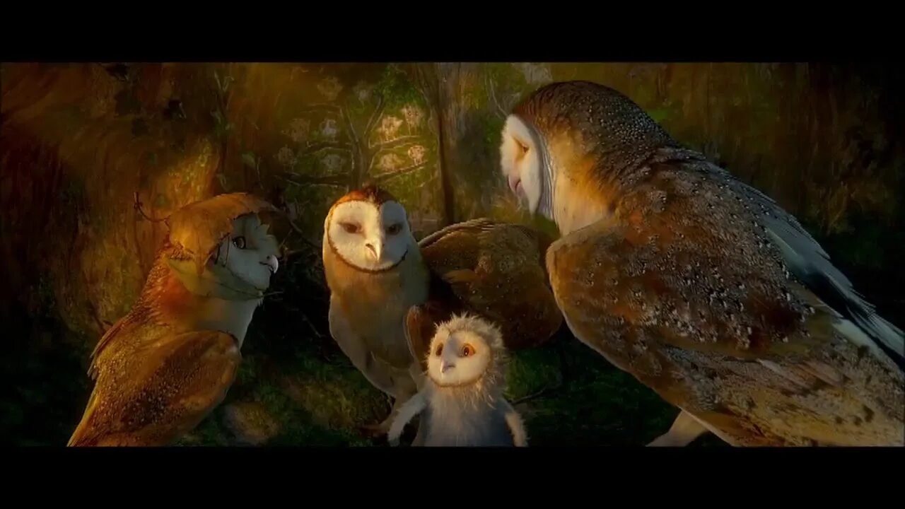 Ga hoole guardians the owls legend. Легенды ночных стражей мультфильм 2010. Ночные Стражи мультфильм. Легенды ночных стражей найра. Мульт про сов ночные Стражи.