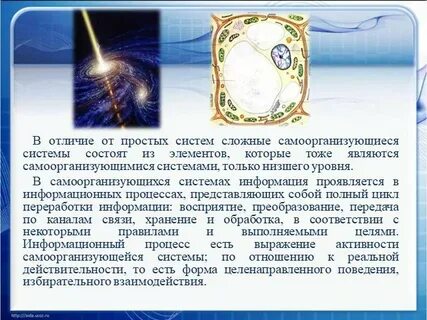 Каждая сфера является сложной самоорганизующейся системой