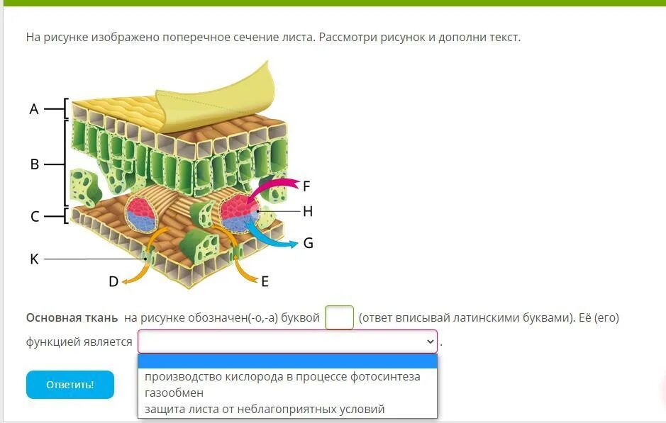 На рисунке изображено поперечное сечение