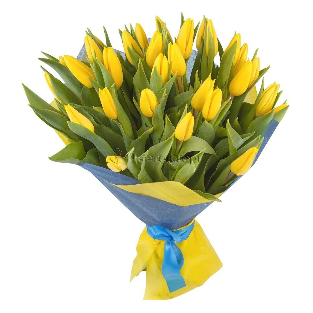 Можно ли дарить желтые тюльпаны. Букет желтых пионовидных тюльпанов. Можно ли дарить желтые тюльпаны. Можно ли дарить желтые тюльпаны. Букет 25 желтых тюльпанов.