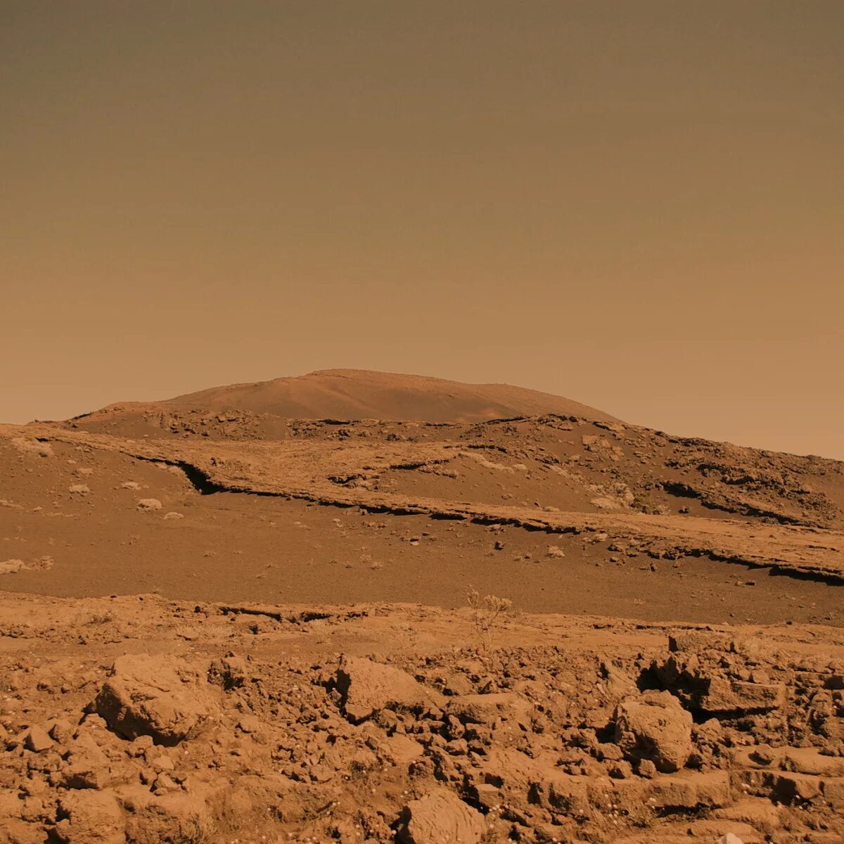 Mars net