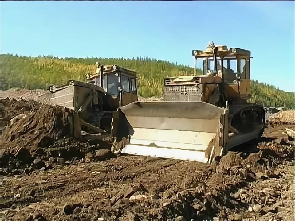 Артели видео. Артель Витим золотодобыча. Артель Витим в Бодайбо. ЗАО Артель старателей Витим. Артель старателей Бальджа.