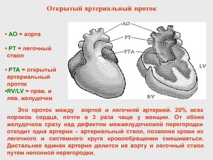 Проток между