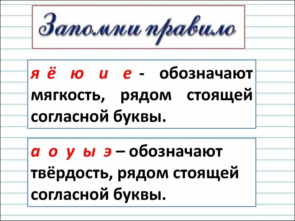 Написать буквы которые есть в слове. Буквы обозначающие твердость и мягкость согласных звуков. Буквы обозначающие твердость согласных звуков 1 класс. Буквы обозначающие мягкие согласные звуки 3 класс. Буквы обозначающие мягкие согласные звуки 1.