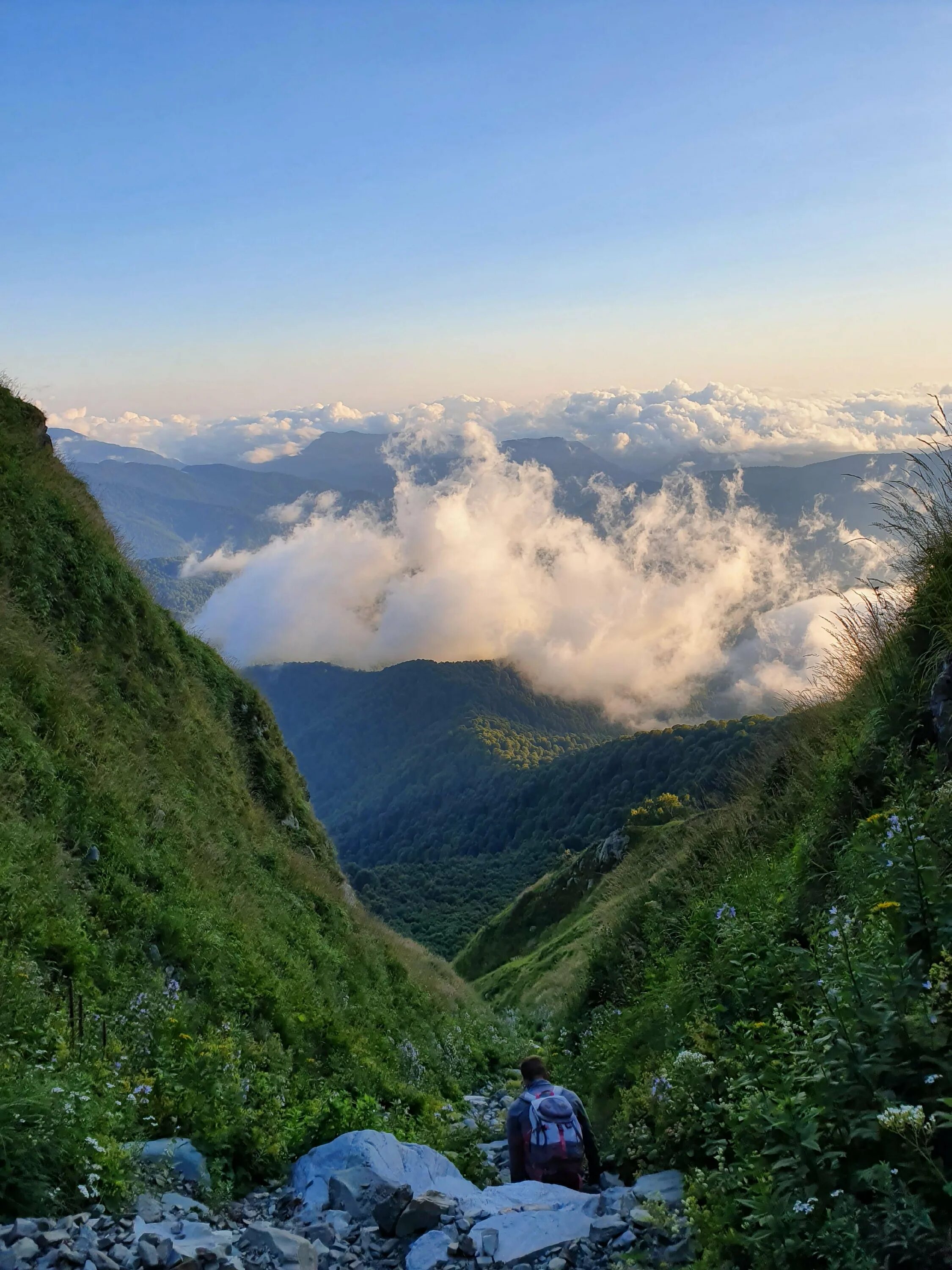 горы в сочи вид с адлера. сочи где горы. роза пик красная поляна. гора ачишхо. гора большая чура сочи.