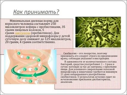 Пробиотики что это такое простыми словами