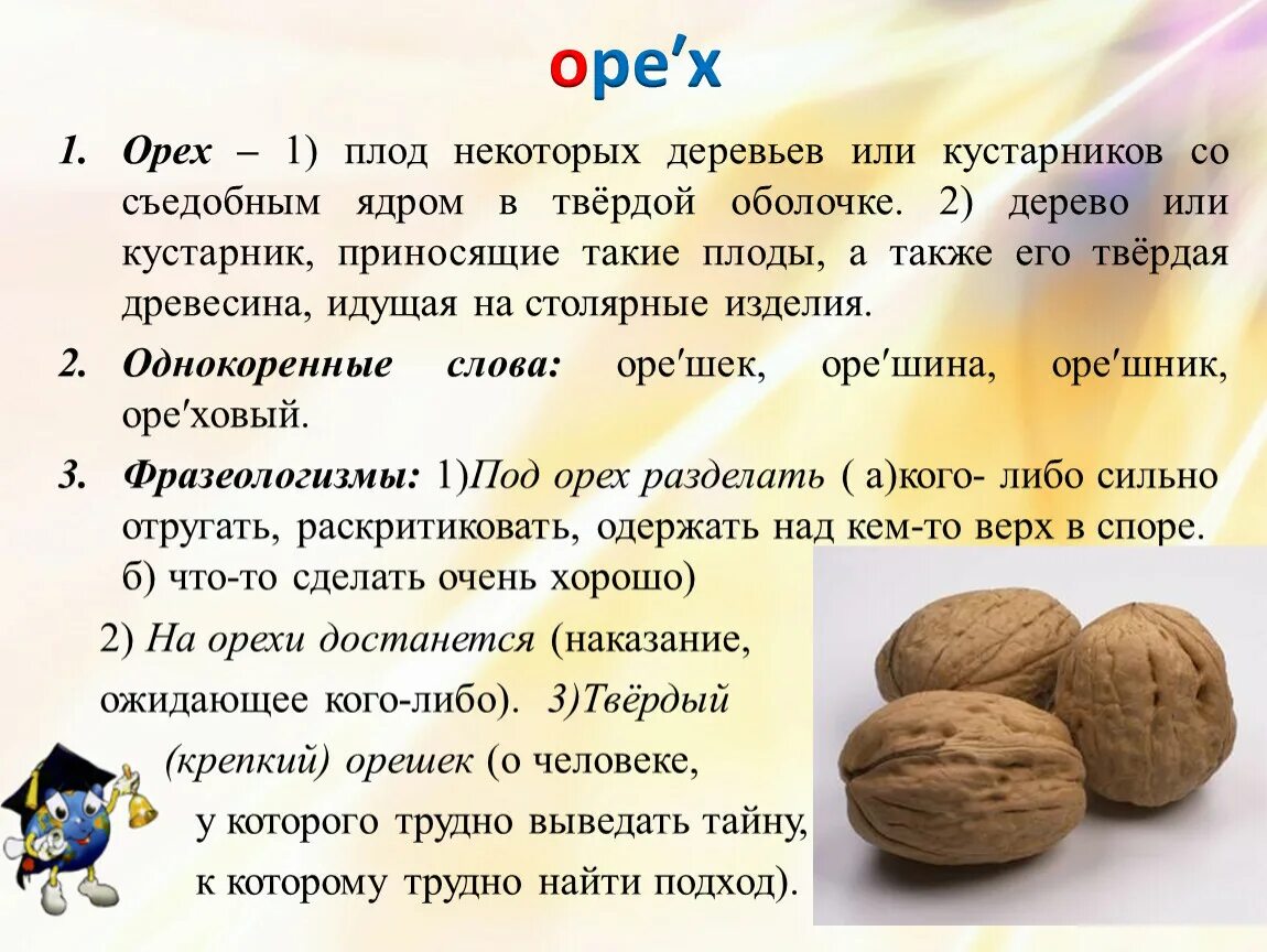 Слова что орехи без ядра. Грецкий орех «Садко». Грецкий орех сорт идеал. Орехи с описанием. Характеристика орехоплодных.