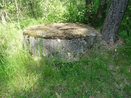 Объект ленинградская область