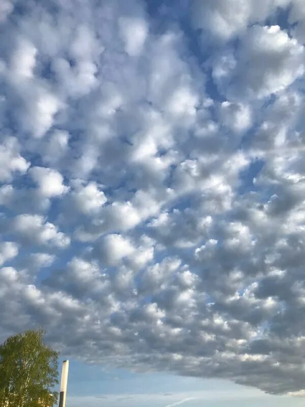 Туча повиснуть. Туча повиснуть. Туча повиснуть. Туча повиснуть. Тучи над городом.
