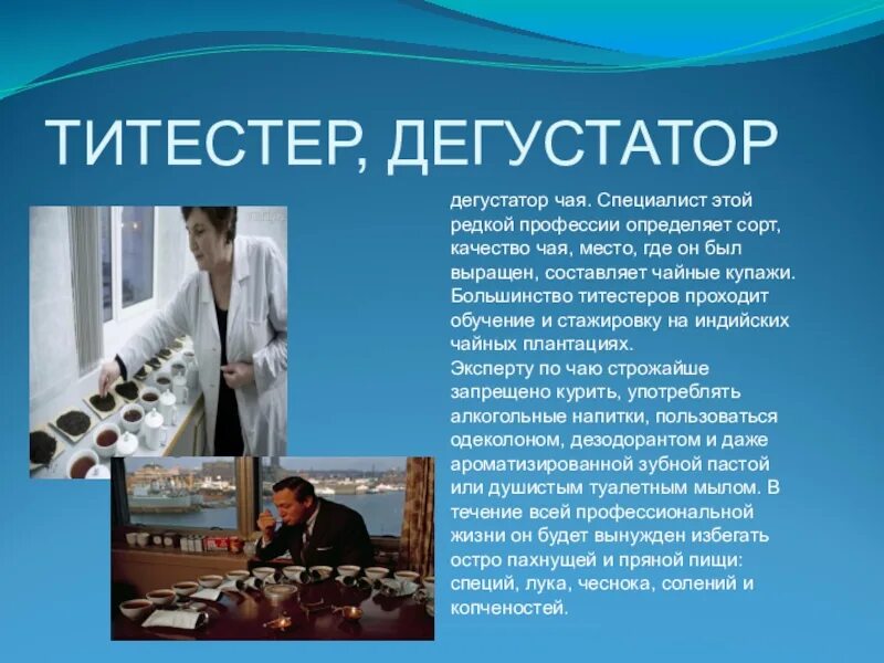 Редкие и необычные профессии. Сообщение о профессии титестер. редкие профессии описание. специалисты редких профессий. рассказ о необычной профессии.