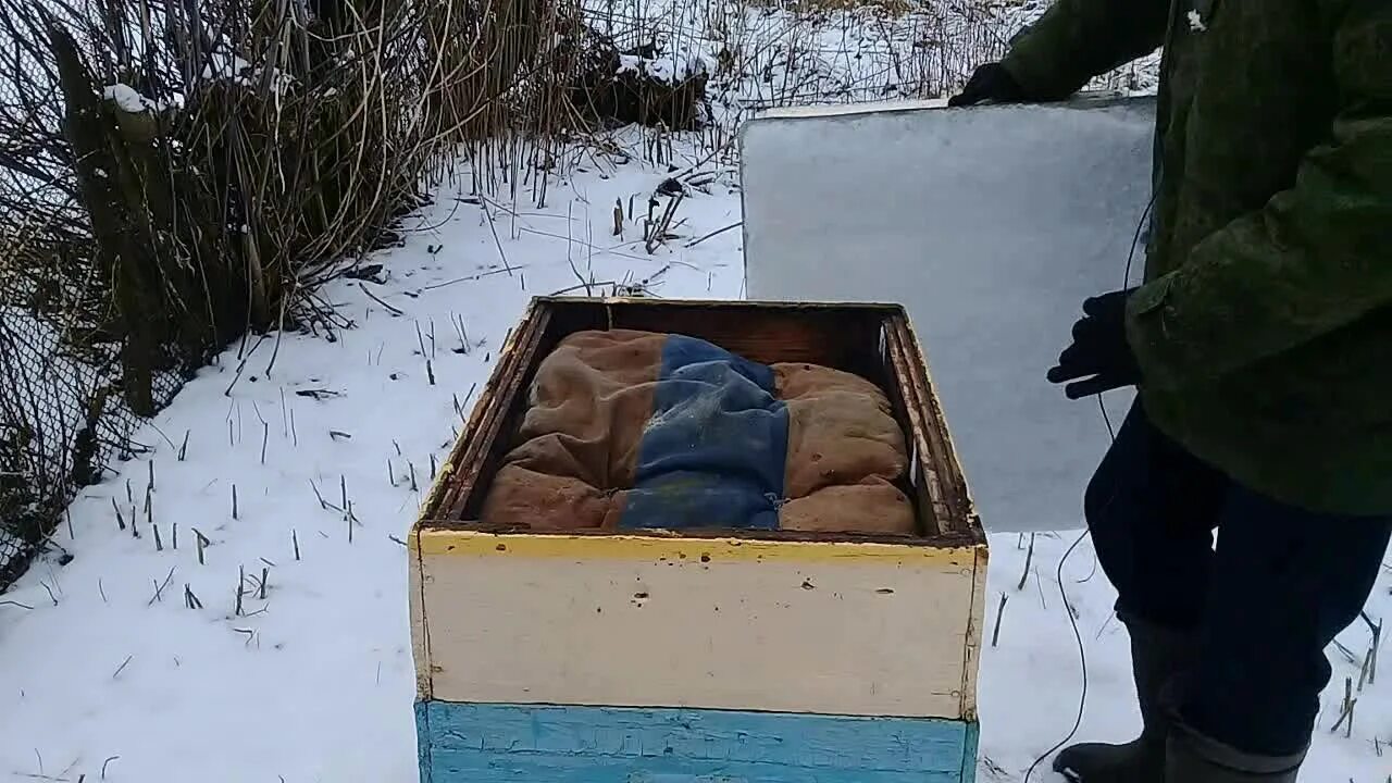 Зимовка пчел. Пчелы зимуют на улице Сибирь-. Зимовка пчел Евсеев. Зимовка пчел Еськов. Купить пчелосемьи в 2024 году