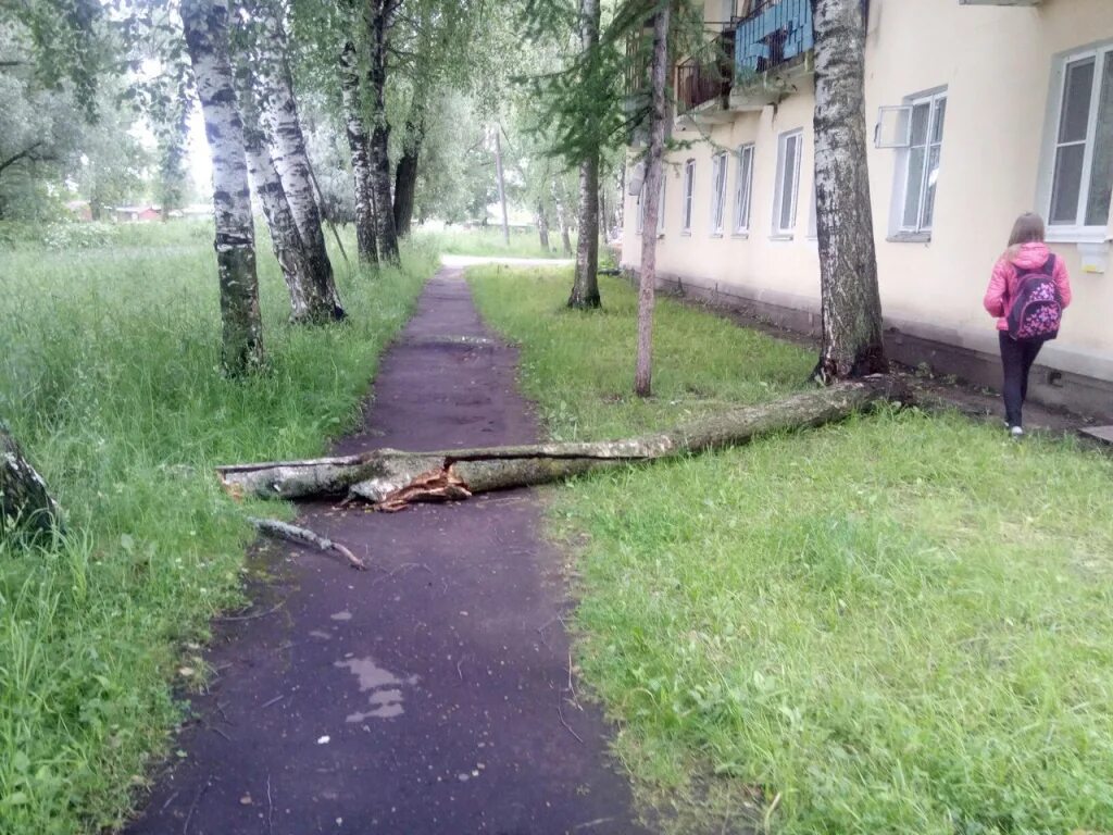 Подслушано в рыбинске в контакте свежие. Переборы Рыбинск улица Веденеева 16. Поселок переборы Рыбинск. Пос переборы г Рыбинск ул Веденеева. Район переборы.