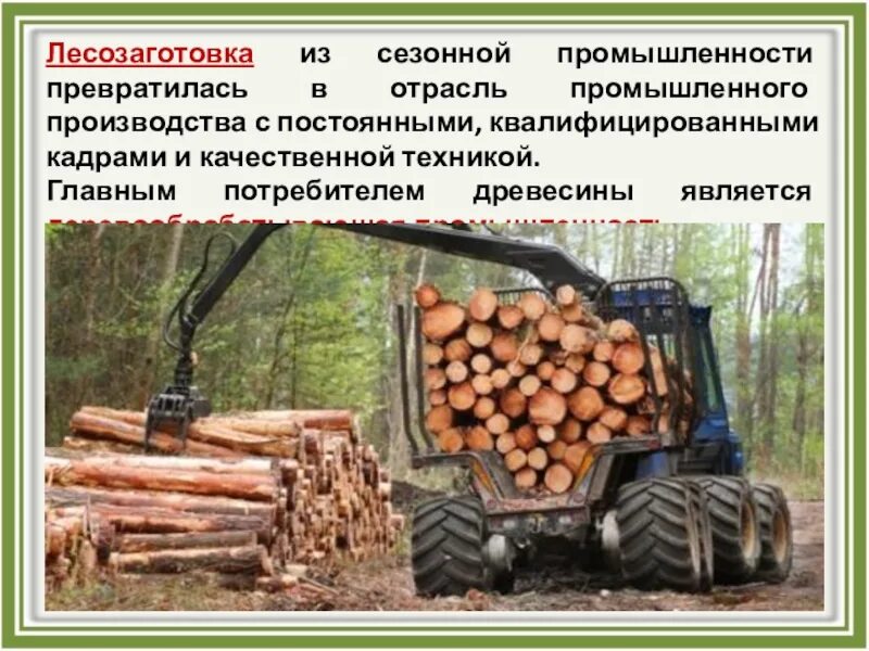 Информация о профессиях лесозаготовительными работами