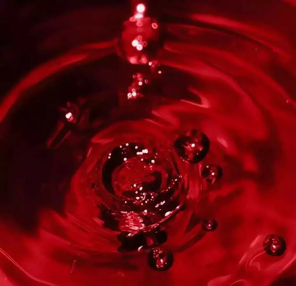 красные деревья осенью. красные кмеры. кровавый красный цвет. рубиновый камень. красная краска текстура.