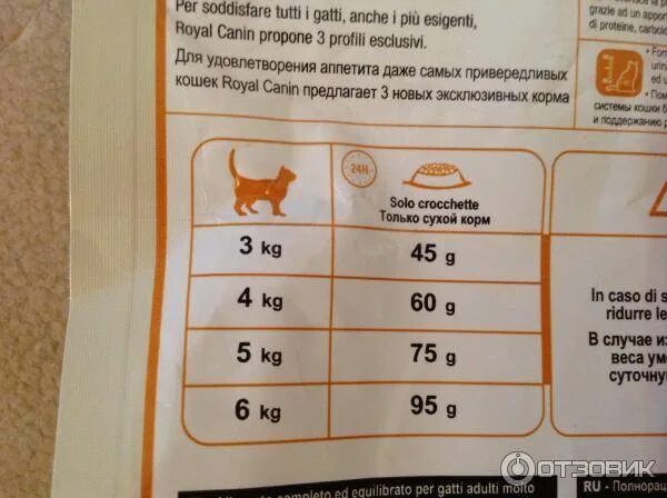 Сколько корма нужно давать кошке в день