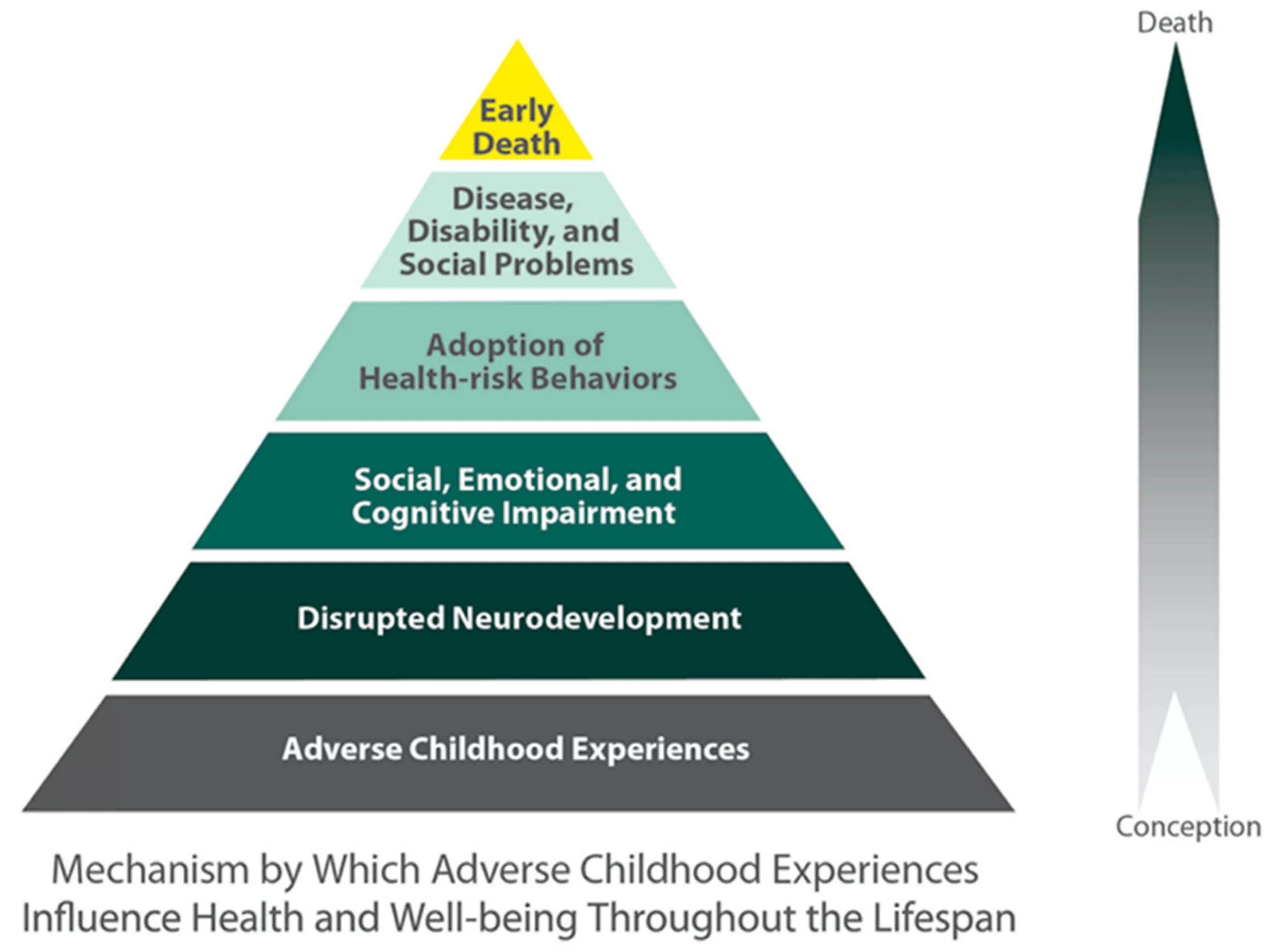 Influence use. Пирамида маслоу. adverse life experiences. influence health. psychology of influence.