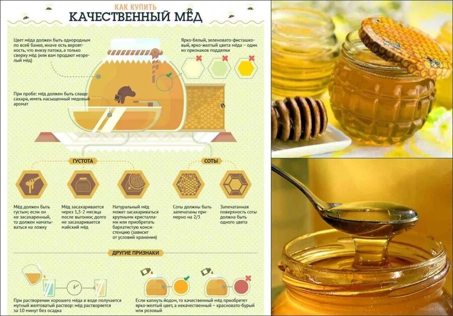 Сколько хранить мед. Хранение меда. Хранение натурального меда. Условия хранения меда. Хранение мёда в домашних условиях.