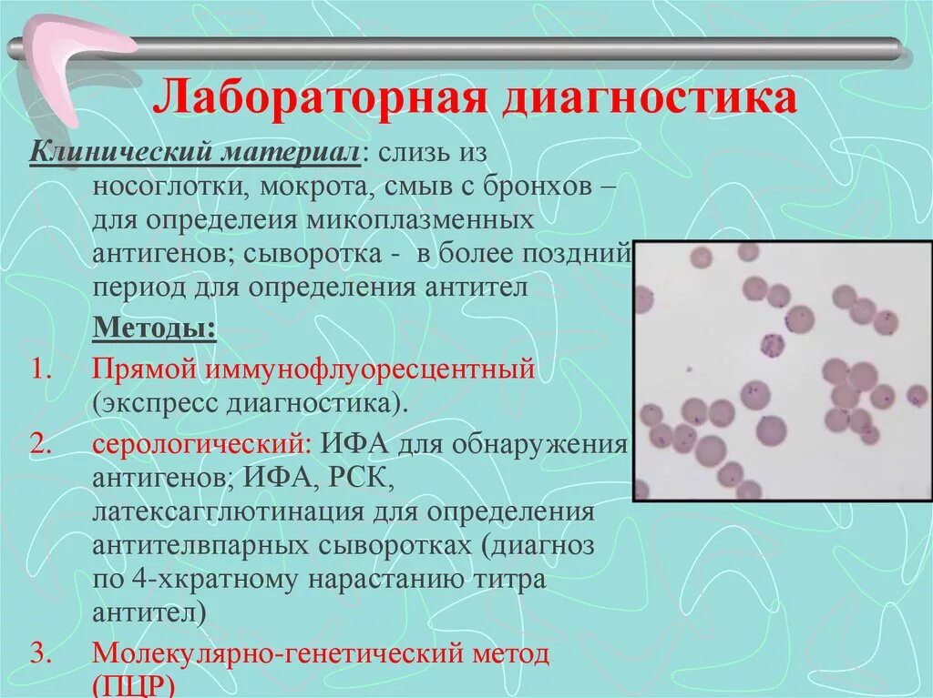 Для диагностики малярии забор крови осуществляют. Риккетсии хламидии микоплазмы. Методы лабораторной диагностики малярии. Метод лабораторной диагностики малярии. Методы диагностики заболеваний вызванных простейшими.