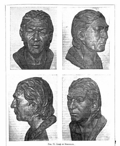 Скиф антропологическая реконструкция. Скифский царь скилур реконструкция михаила герасимова. Юэчжи народ. Скифы внешность. Скифы сарматы реконструкция внешности.