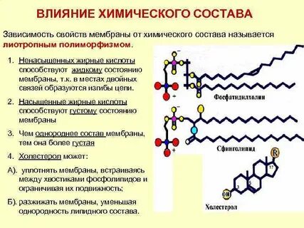 В зависимости от состава