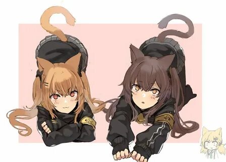 Neko pet