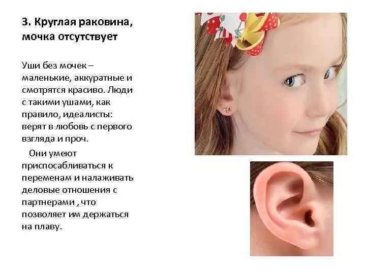 Что нам уши говорят. Форма ушей и характер. Что нам уши говорят. Наше ухо. Форма ушей и характер.