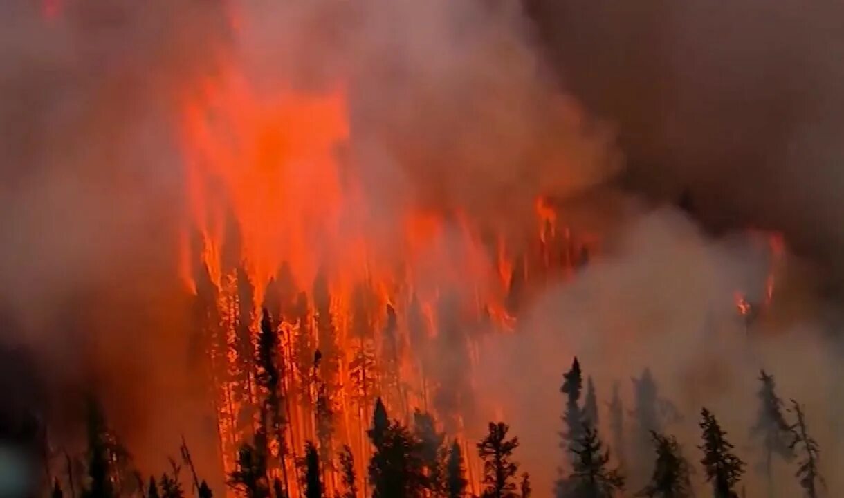 Опасные земли часть 3. Лесные пожары видео для школьников. Пожар в рыжем лесу. Радуга против пожара. Луйбл против пожаров.