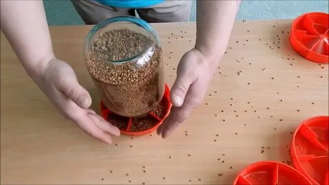 Как сделать кормушку для цыплят