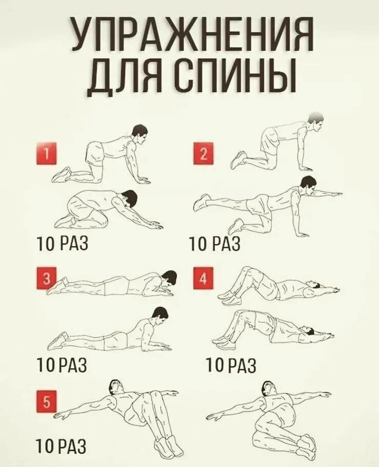 Какие тренировки для мышц. Упражнения на спину в домашних условиях. упраженние я ждя спиныз. упражненидля мышц спиныя. комплекс упражнений для спины дома.