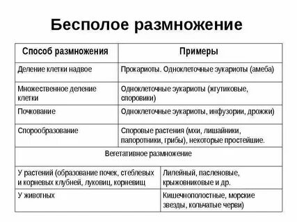 Какова биологическая роль бесполого размножения примеры